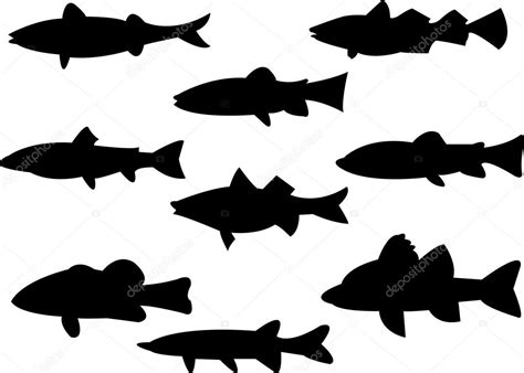 Fish Silhouette Pictures, Images and Stock Photos.